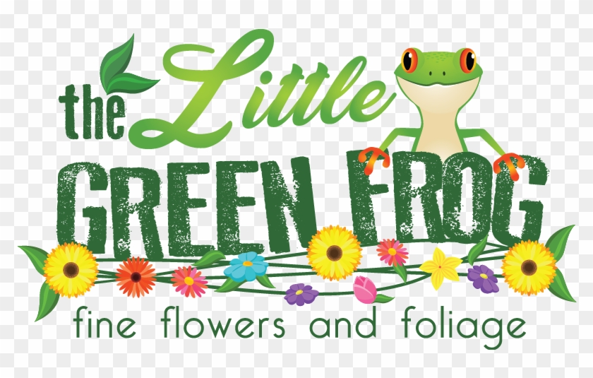Welcome To The Little Green Frog Fine Flowers And Foliage - African Daisy Clipart #2497775
