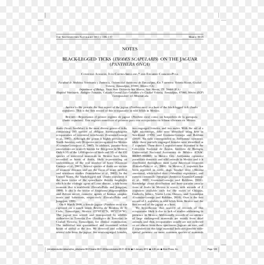 Pdf - Software Developer Email Introduction Clipart #2498777