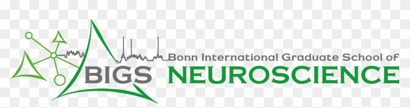 The Logo Here - Graphics Clipart #2499907