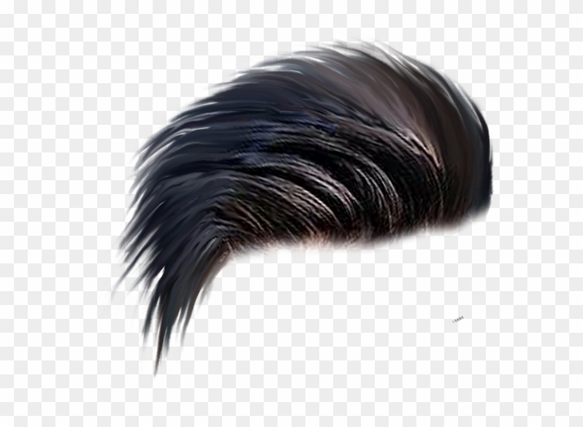 Cb Hair Png Zip - Png Of Hair Style Clipart #250039