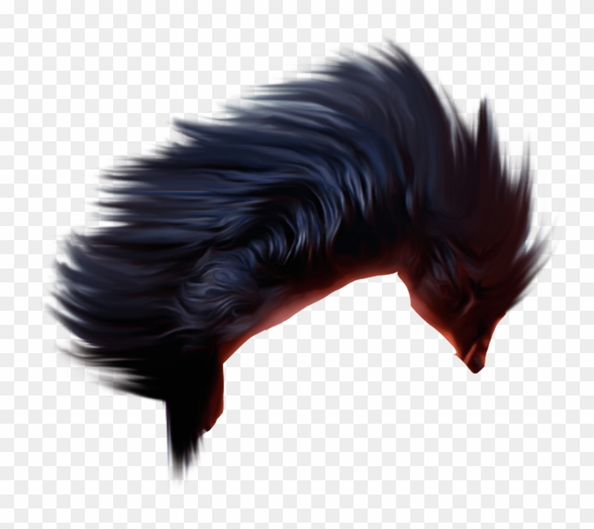 15 Png Hair Styles For Free On Ya Webdesign - Download Hair Hd Png Clipart