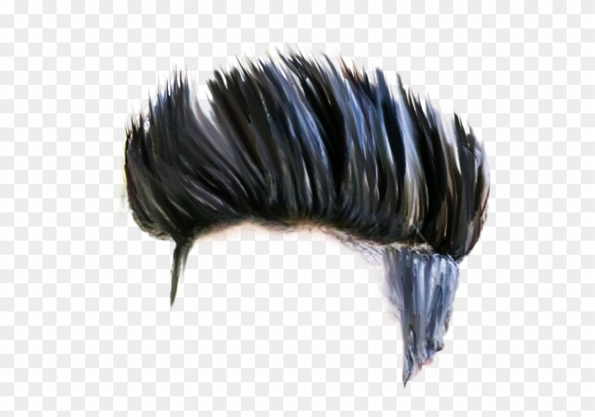 Boy Hair Png Hd Quality - Hair Clipart #250456