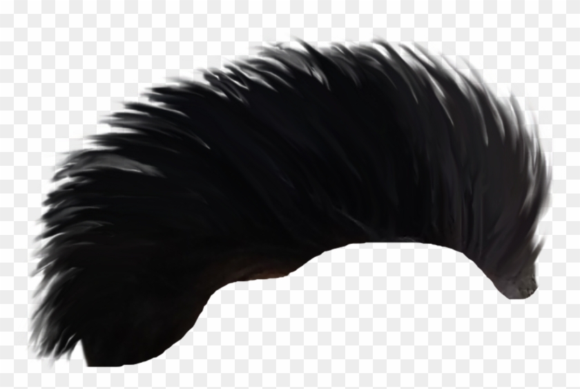Hair Png - Wing Clipart #251531