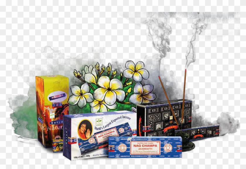 Satya Sai Baba Nag Champa - Sketch Clipart #251755