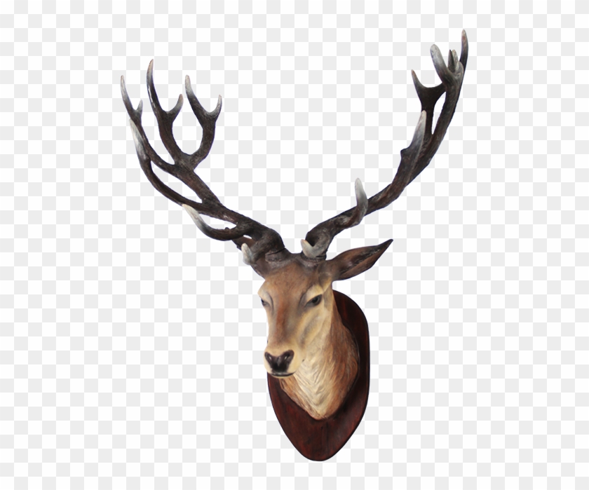 Deer Head Png Transparent Image - Deer Head Png Clipart #252736