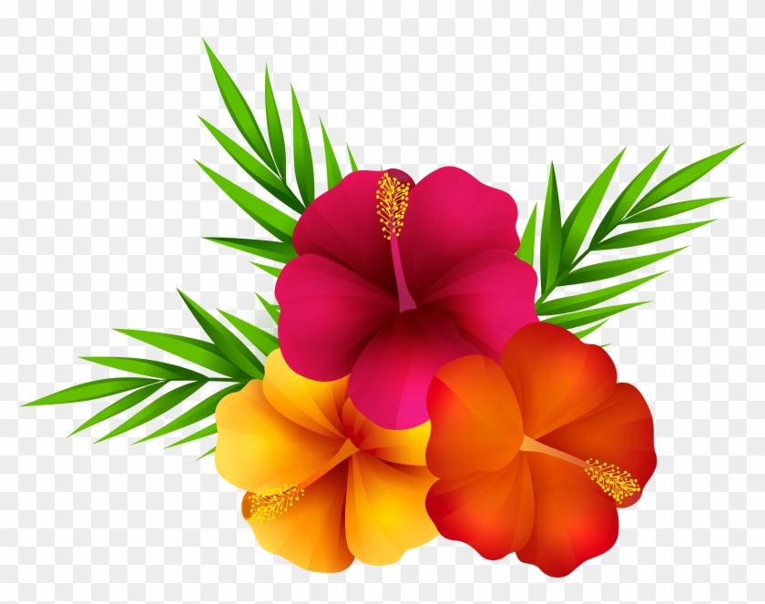Free Png Download Exotic Flowers Png Images Background - Transparent Tropical Flowers Png Clipart #252892