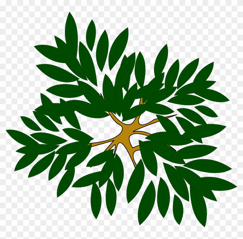 Tree Clump Clipart Icon Png - Top View Tree Icon Transparent Png #253567