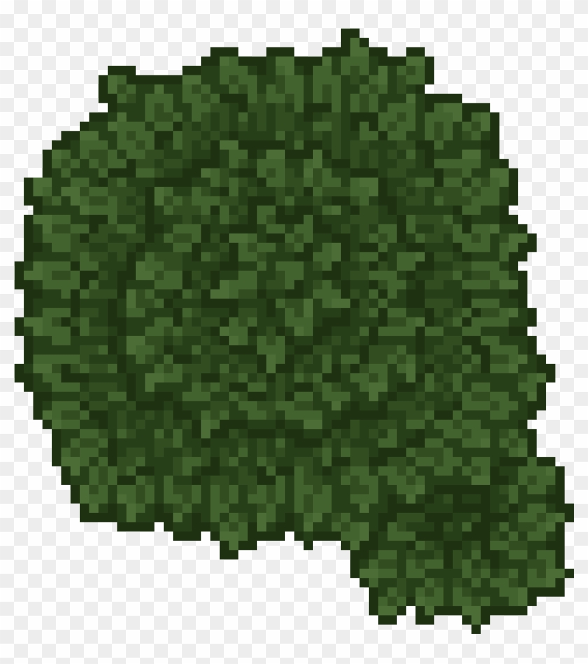 Tree - Top Down Tree Png Clipart #253621
