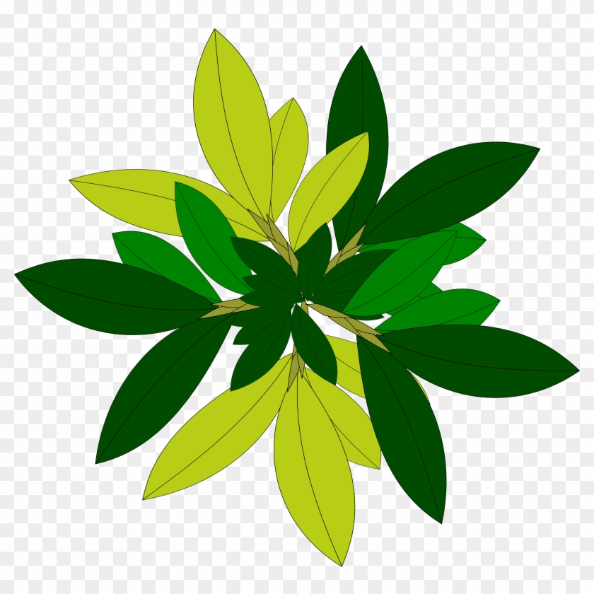 Tree-08 Banner Transparent Download - Tree Vector Top View Clipart