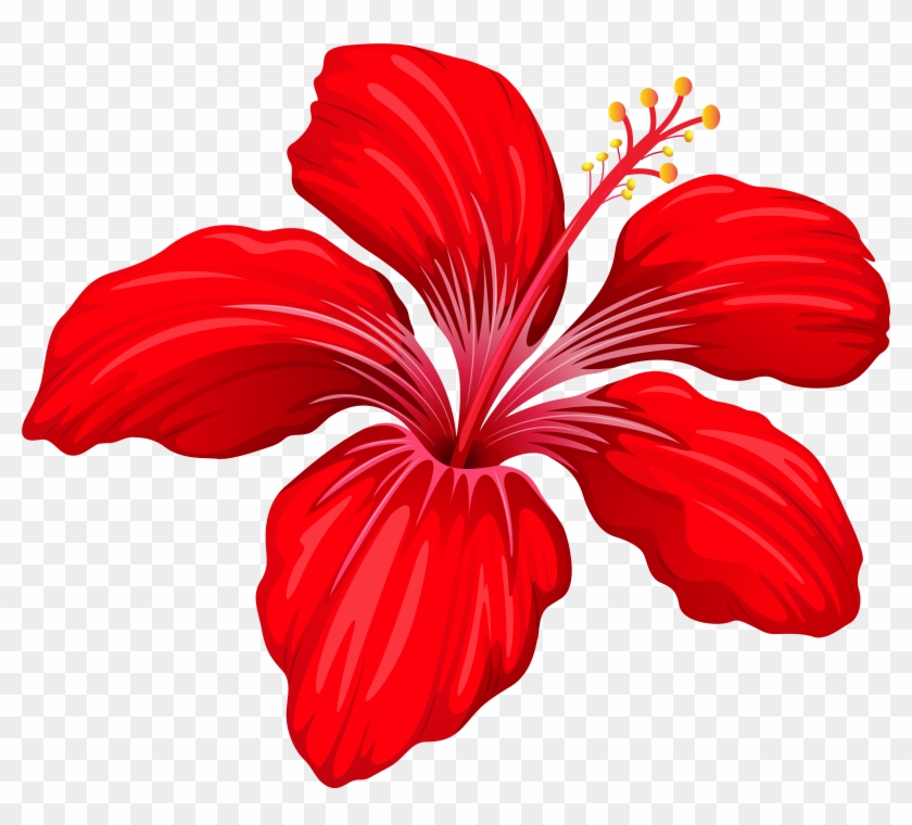 Red Flower Clipart Transparent - Exotic Flowers Png
