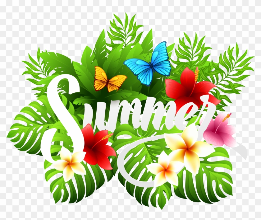 6068 X 4822 8 - Summer Png Clipart #254592