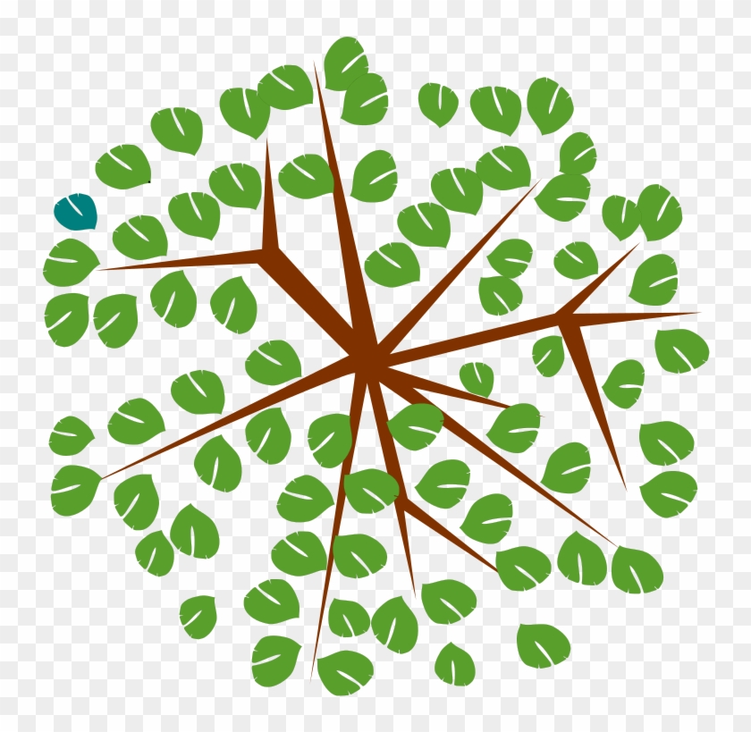 Free Tree-12c - Tree Top View Icon Png Clipart #254707