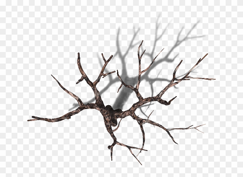 06 Feb 2009 - Dead Tree Top Down Clipart #254861
