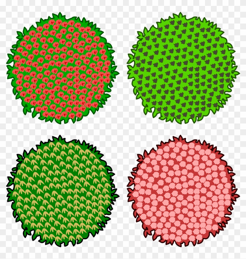 Big Image - Tree Vector Png Top View Clipart
