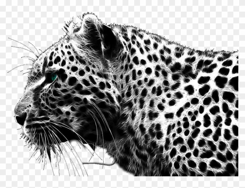 Cheetah Png Clipart