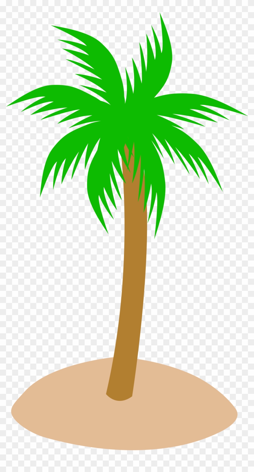 Tropics Clipart Tree Top - Palm Tree Clip Art - Png Download