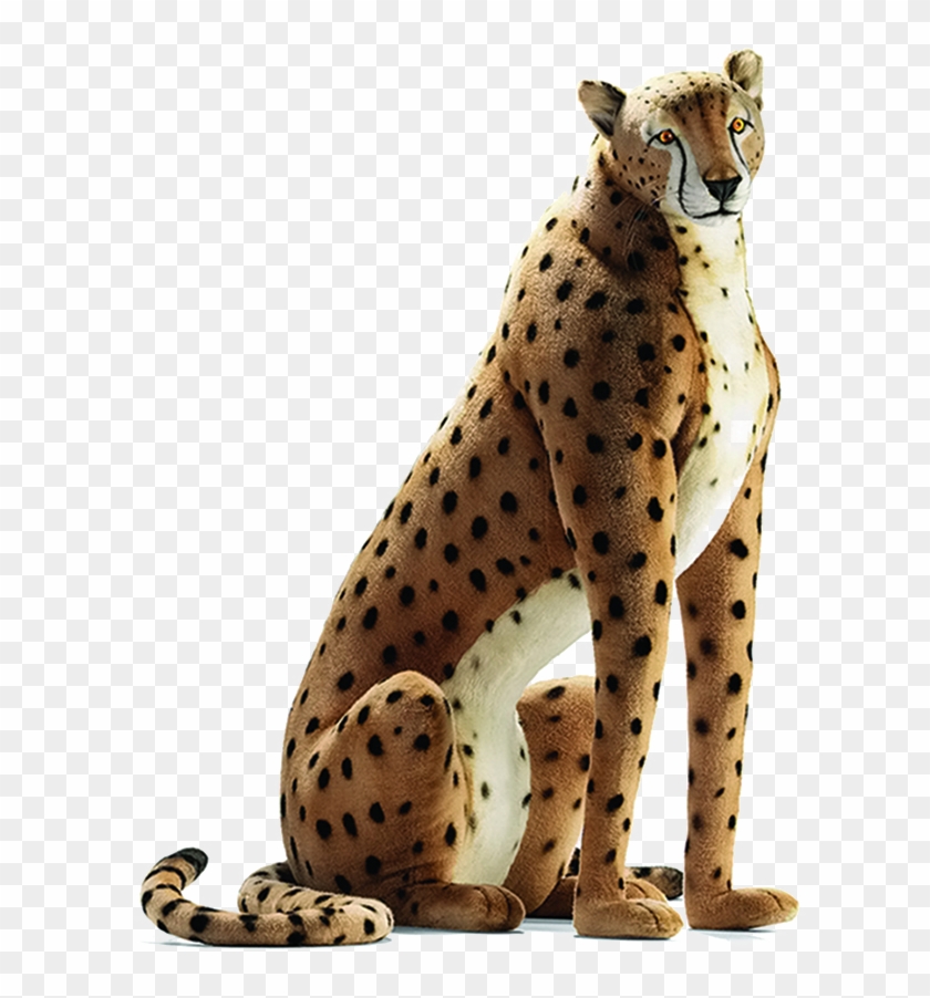 Sitting Cheetah Transparent Image Clipart #255414