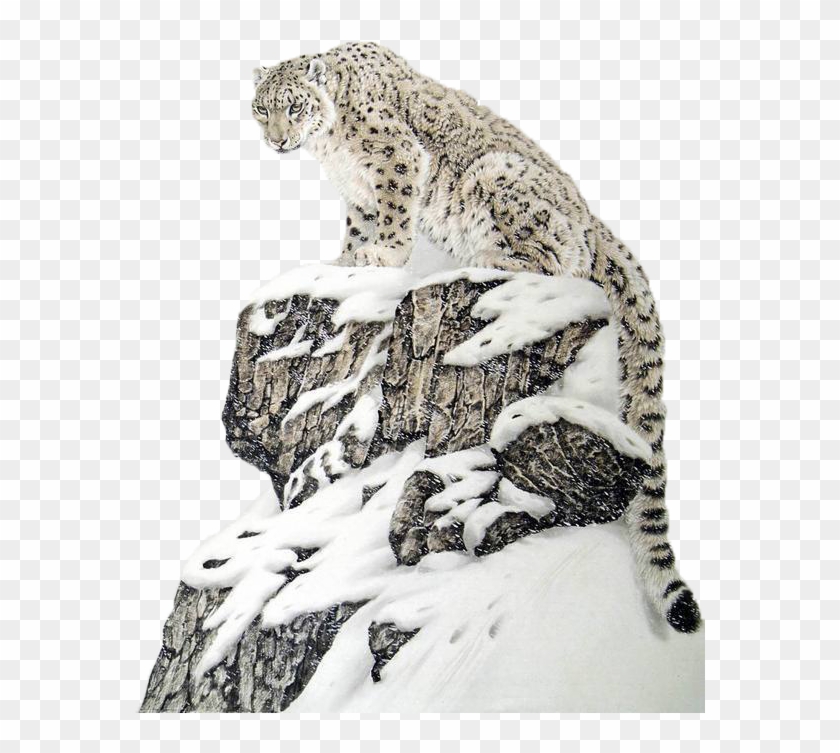 Leopard/cheetah Free Png Image - Beautiful Snow Leopard Clipart