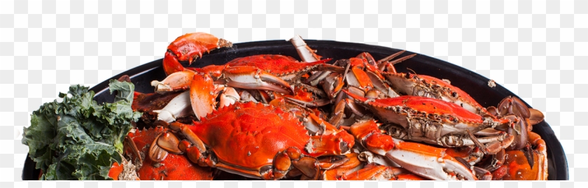 View Our Menus - Dungeness Crab Clipart