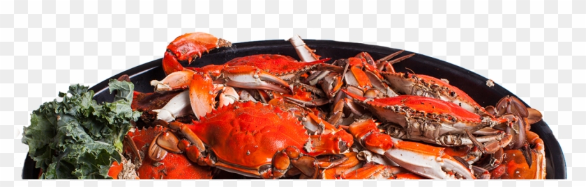 View Our Menus - Dungeness Crab Clipart #255502
