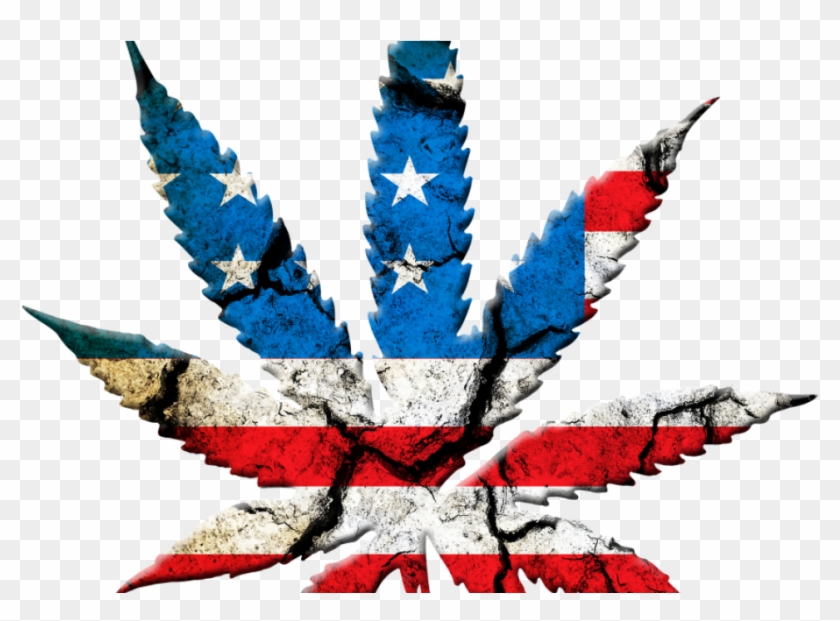 Bank Rejects Candidate's Money Because Of Medical Marijuana - Marijuana Leaf Usa Clipart