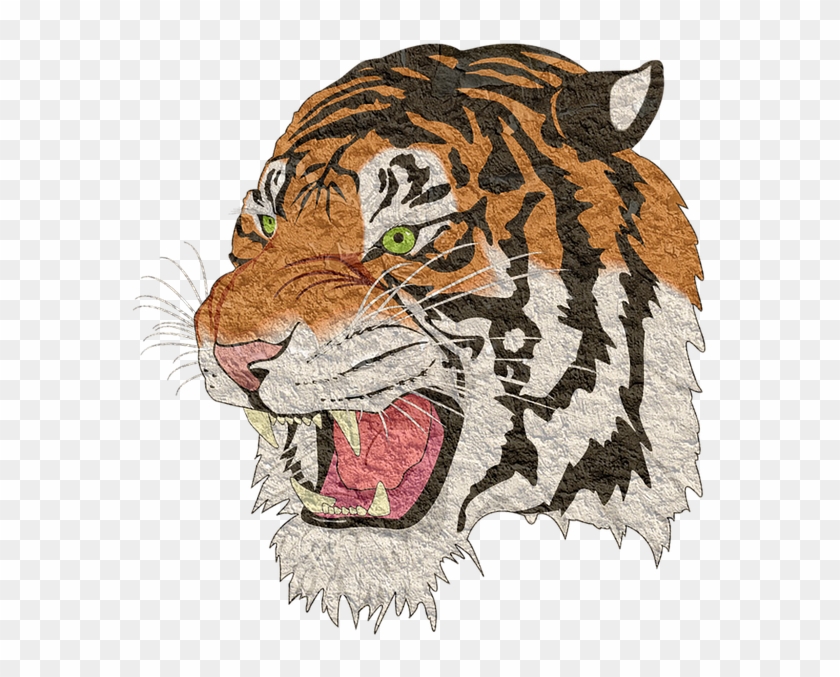 Tiger,tiger - Tiger Png Clipart #255779