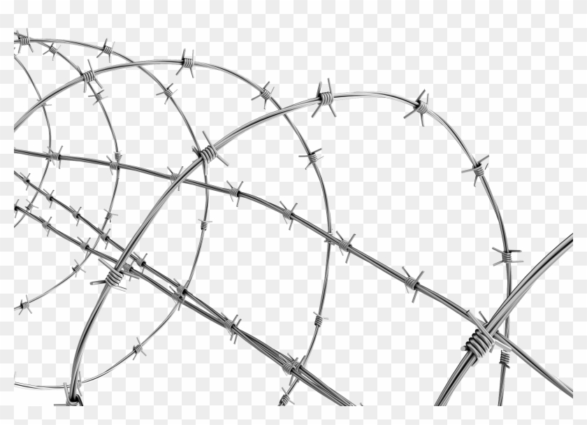 Barbwire - Transparent Background Barbed Wire Png Clipart #256013
