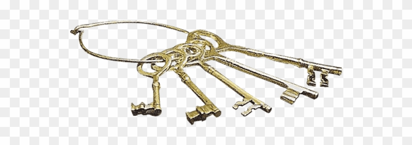 Halter Clipart #256403