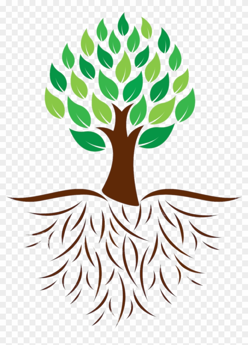 Download Tree And Roots Colour Illustration Transparent - Tree Clipart With Roots - Png Download