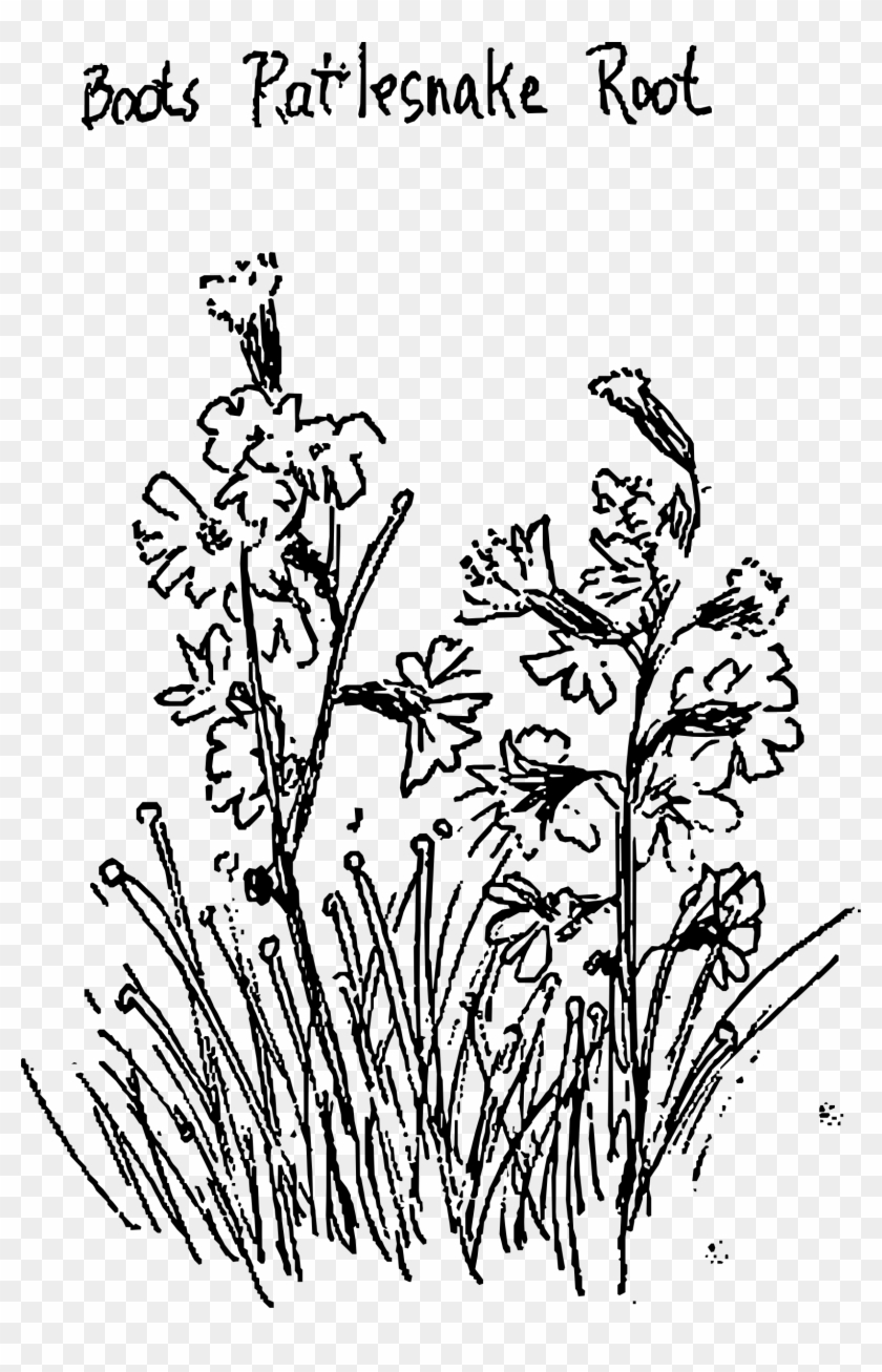 1565 X 2361 5 - Boot Clipart #257558