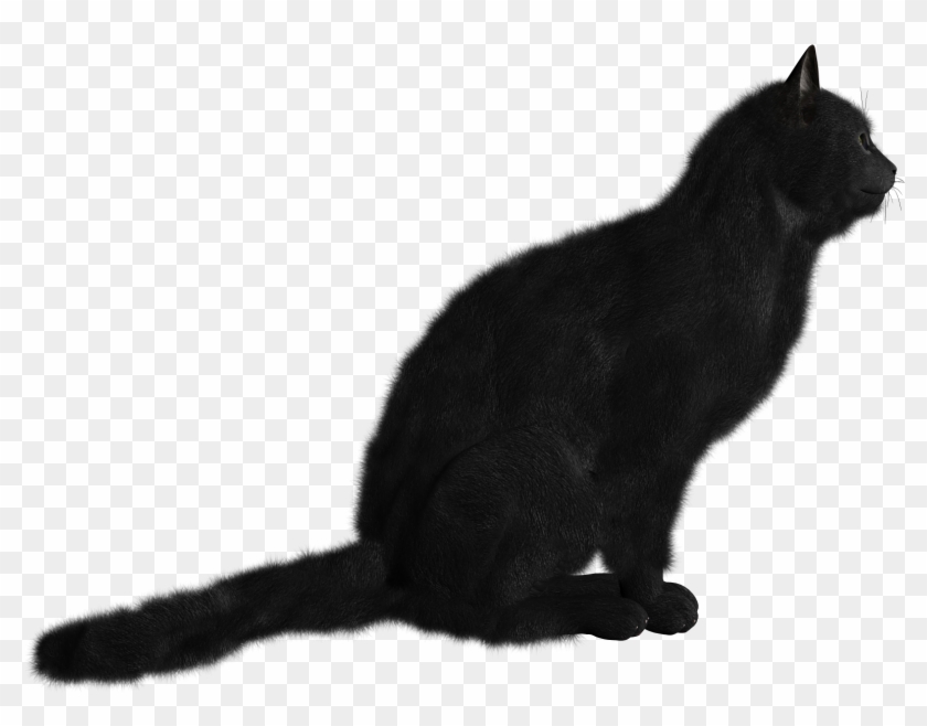 Cats Png Icon - Cat Clipart #257561
