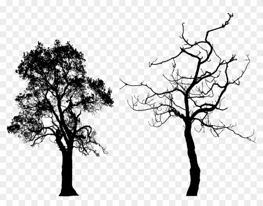 1024 X 750 10 - Alejandro Roces My Brother's Peculiar Chicken Clipart