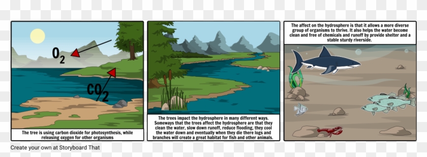 Tree Roots By The Water > Hydrosphere - Does Photosynthesis Affect The Hydrosphere Clipart #258046
