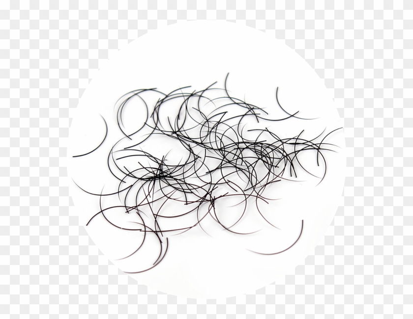 Ruhi's Glam Eyelash Extensions - Loose Eyelash Extensions Clipart #258293