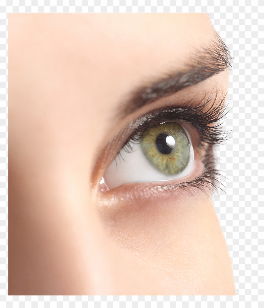 Lash Extensions - Perda De Visão Clipart #258421