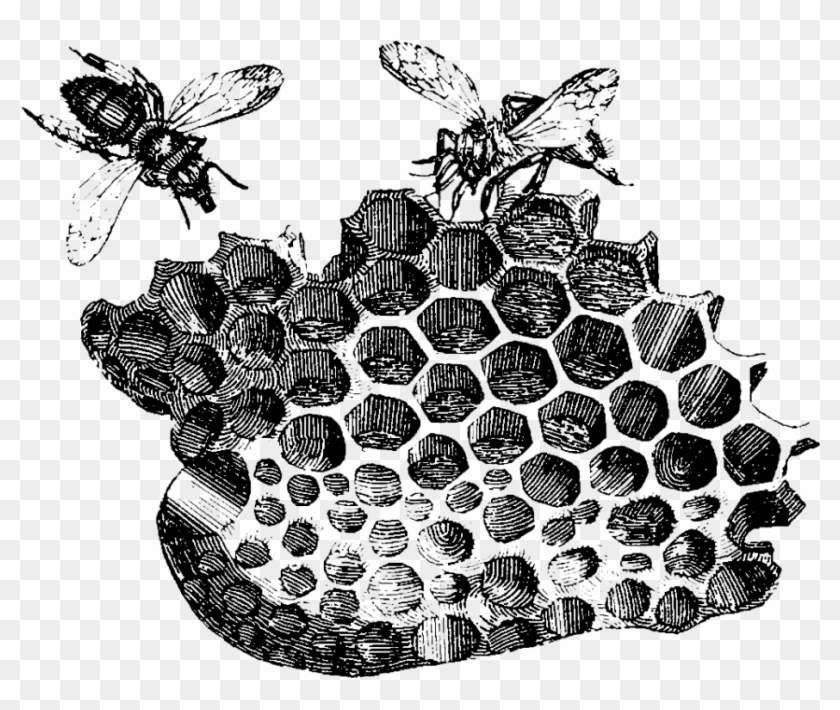 Bees In Art Clipart #258666