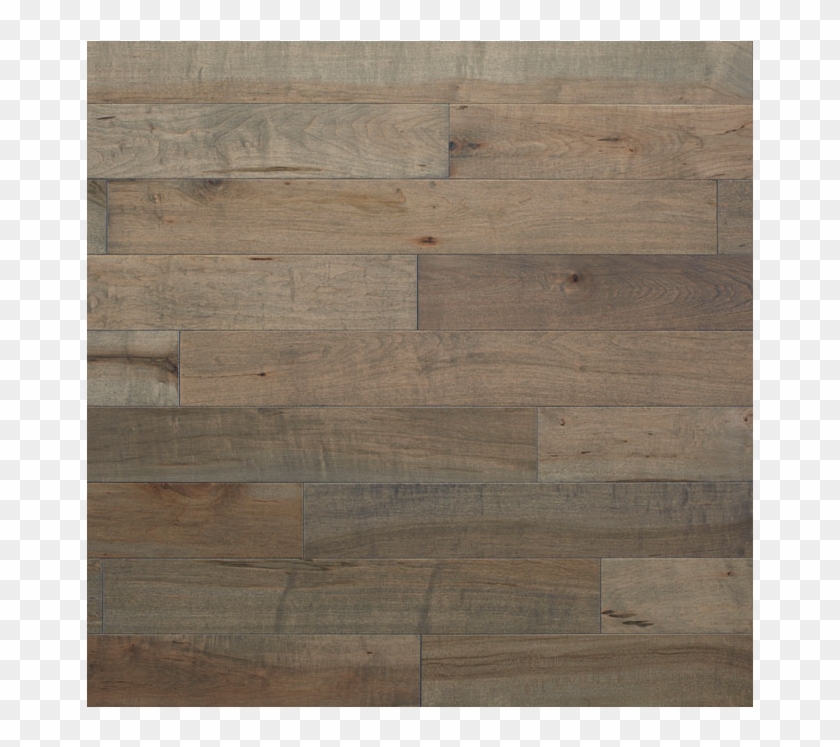 The Different Characteristics Of Popular Wood Species - Plank Clipart