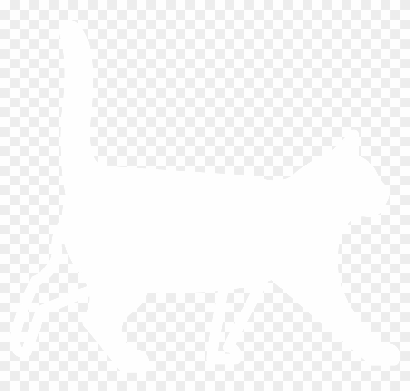Hot Cat - Domestic Short-haired Cat Clipart