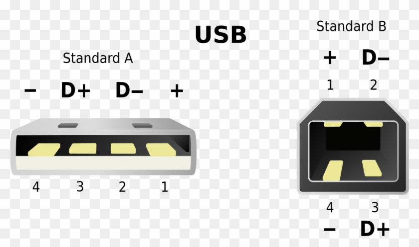 Usb Wikipedia Rh En Wikipedia Org Usb Connection Wiring - Usb D+ D Clipart #259780