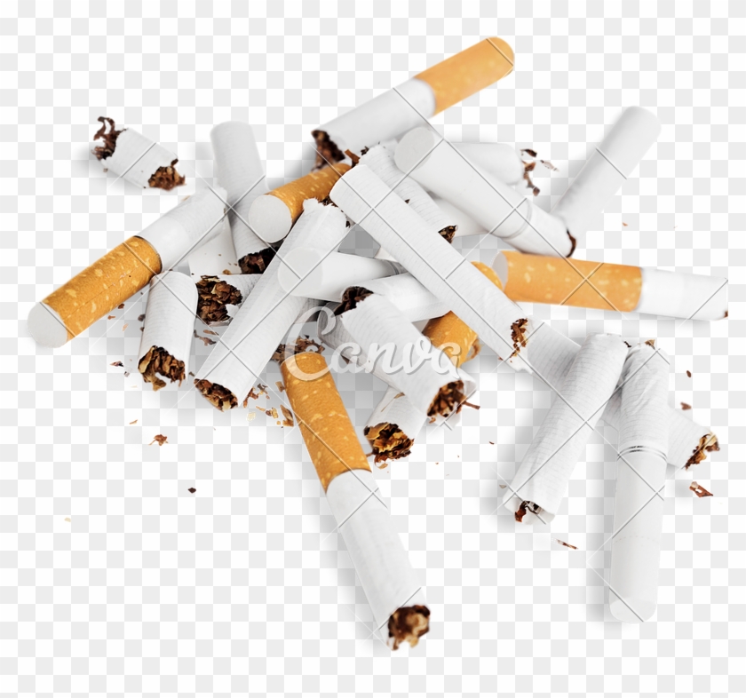 Butts Photos By Canva - Cigarette Butt Transparent Png Clipart #259904