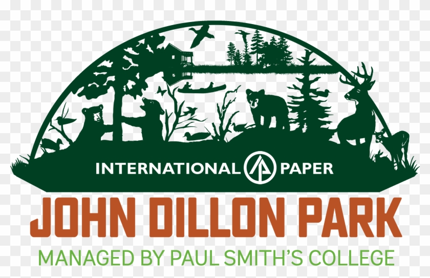 Full Color Png - International Paper Clipart #259981