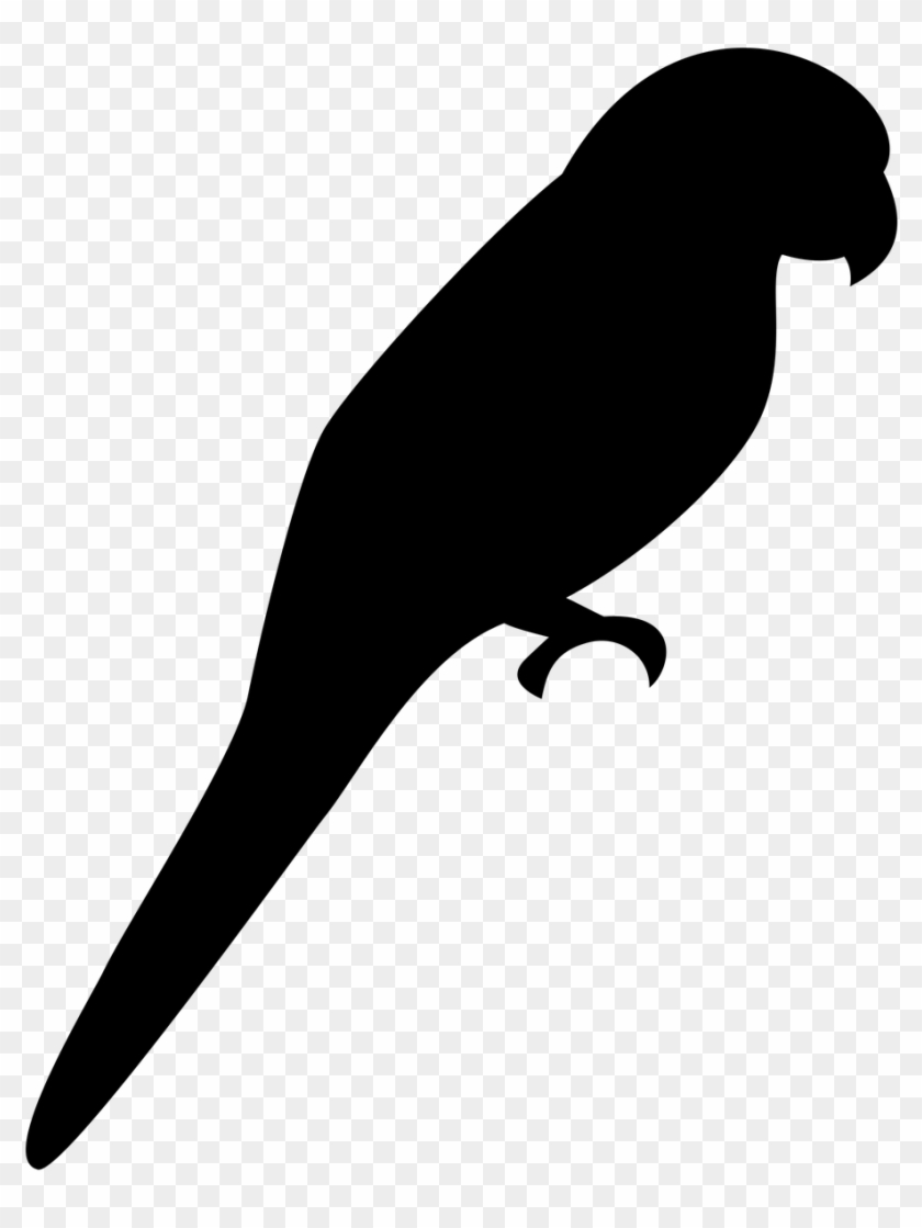 Silhouette Bird Parrot Png Image - Parrot Shadow Clipart