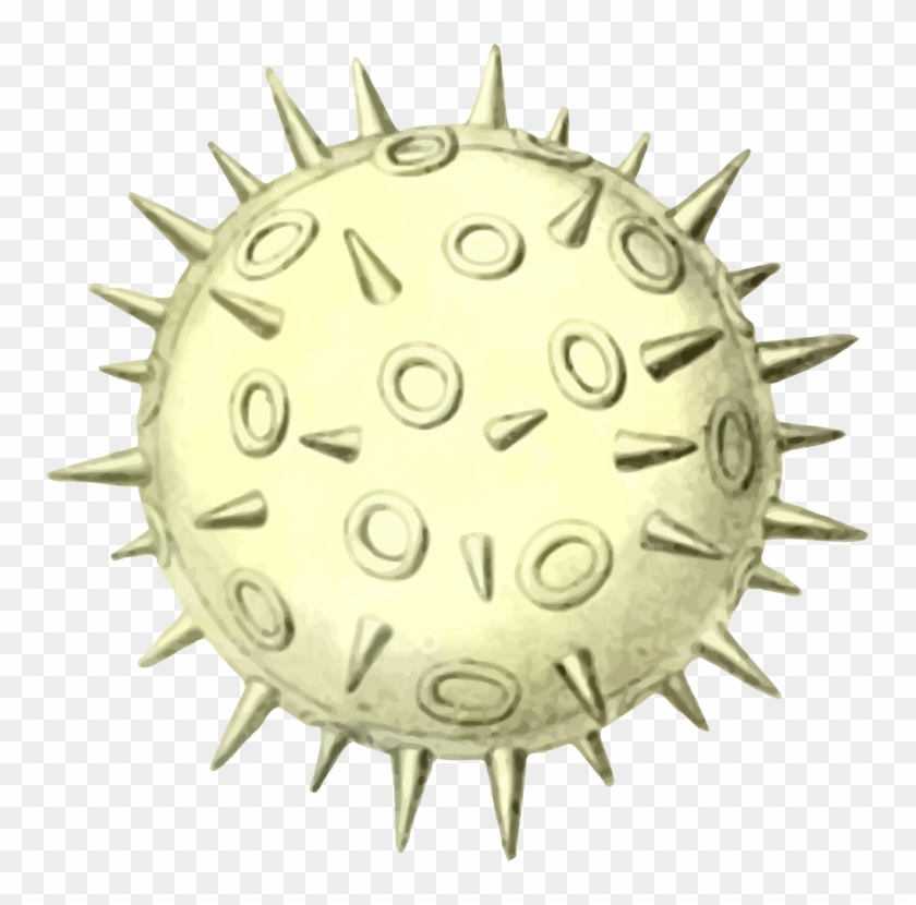 Pollen Microscope Bee Spore - Close Up Of Pollen Clipart