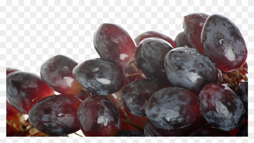 Black Grapes Png Free Image - Seedless Fruit Clipart #2505303