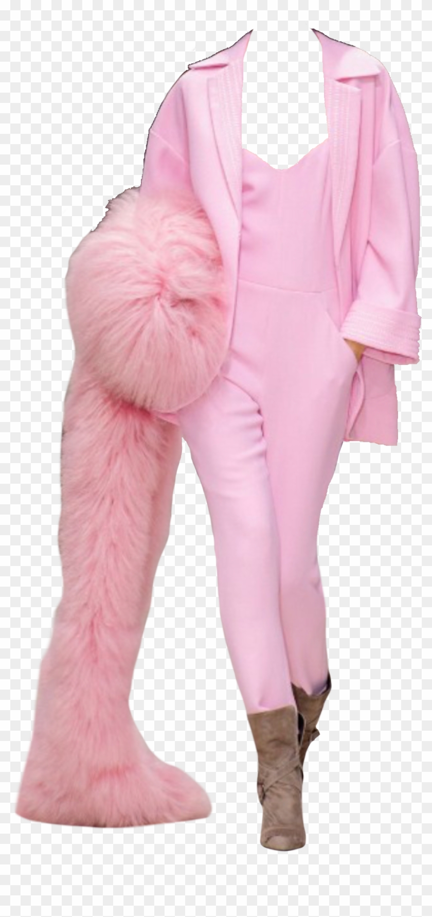 Pink Model Outfit Polyvore Moodboard Filler - Polyvore Outfits Aesthetic Pink Clipart