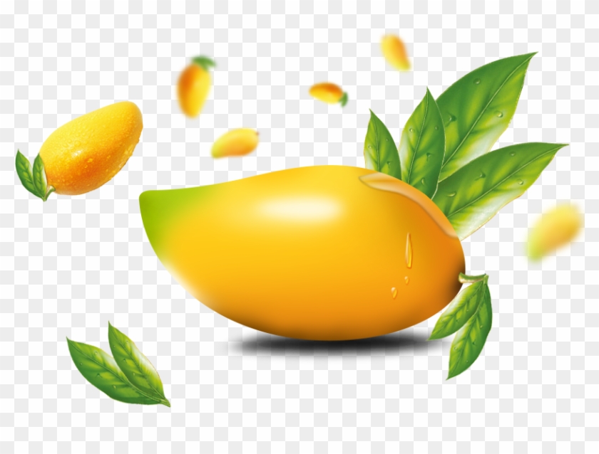 Mango Png Image & Mongo Clipart - Mango Png Transparent Png #2505527