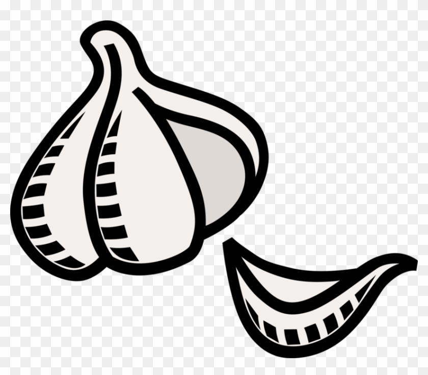 Png Free Clove Vector Image Illustration Of Edible - Dente De Alho Clipart Transparent Png