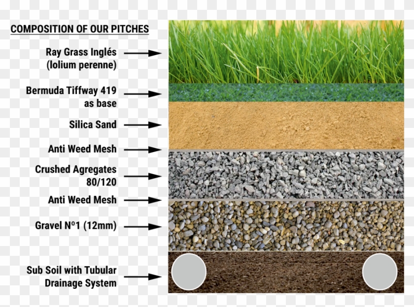 Marbellla Football Center , Png Download - Pebble Clipart