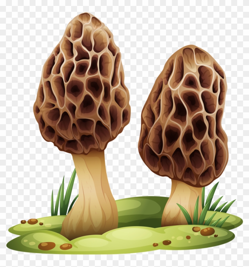 Hocus Pocus Mushroom Kit - Mushroom Vector Free Clipart #2505977