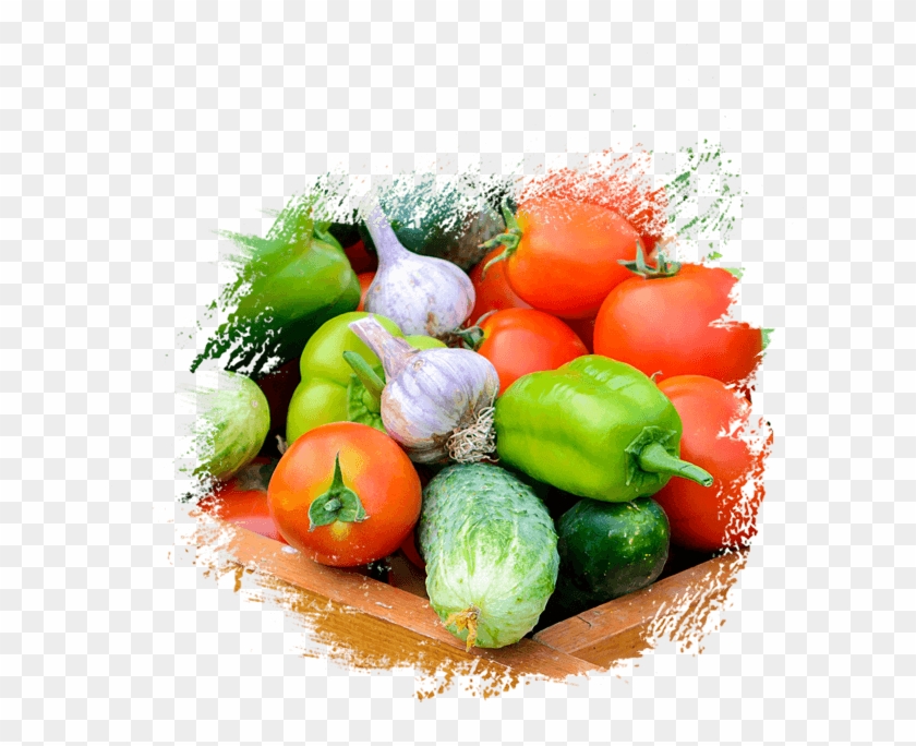 Fresh Vegetables Png For Kids - Farm House Website Template Clipart